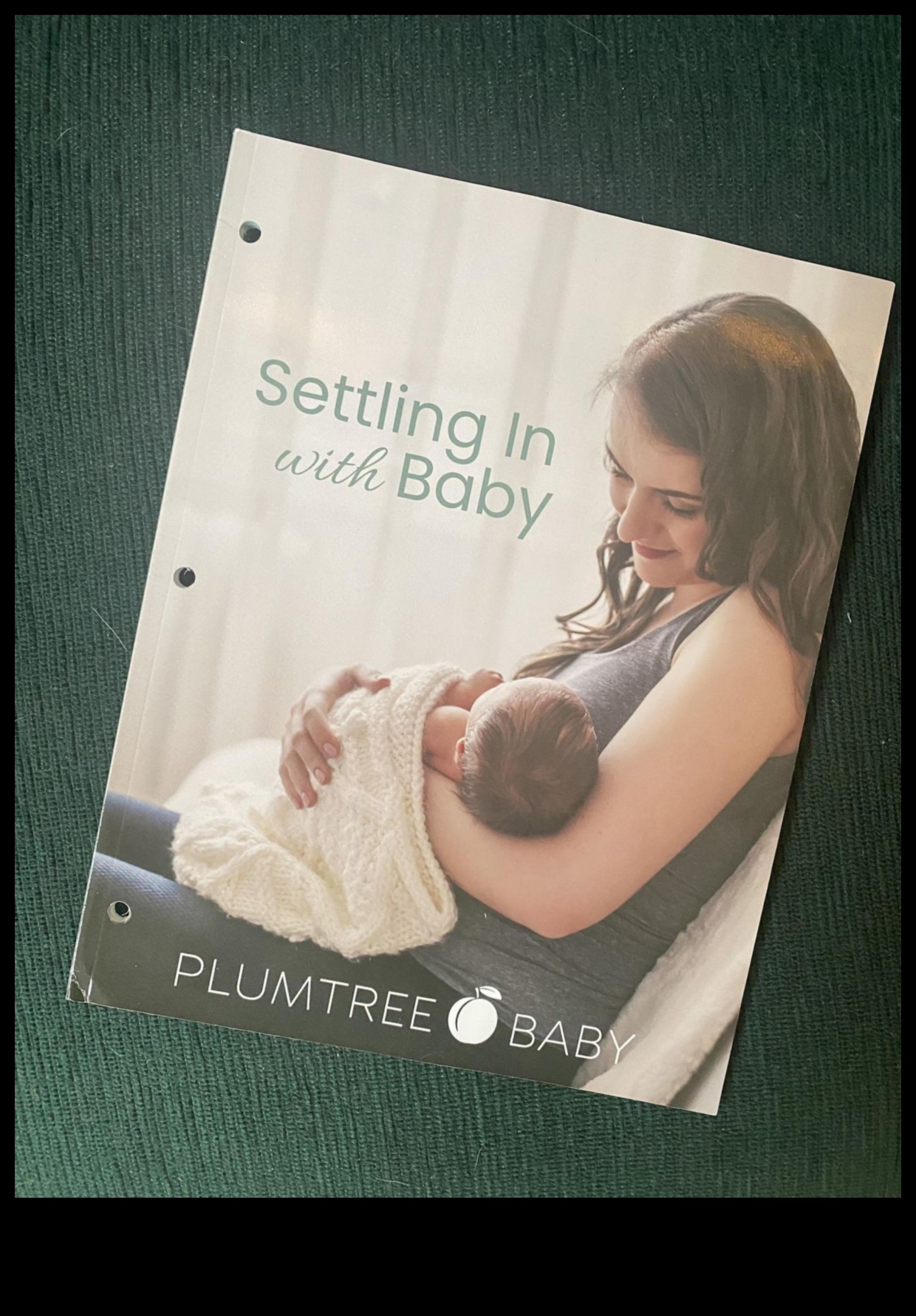 Sărbătorește conexiunea Arta veselă a alăptării 4 Sărbătorește conexiunea: arta veselă a alăptării