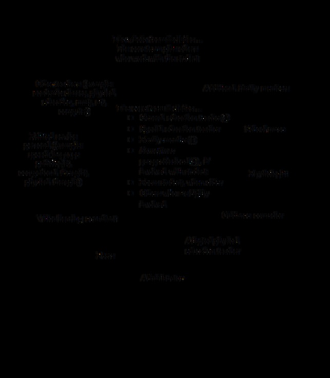 Codul cuplurilor: Lecții din parteneriate de succes