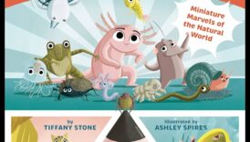 Mini minuni: Desfășurarea magiei copilăriei