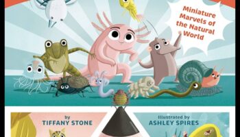 Mini minuni: Desfășurarea magiei copilăriei